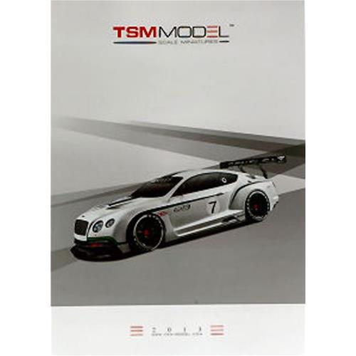 Catalogo True Scale Miniature 2013 True Scale Miniatures Tsmcat2013