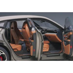 Lamborghini Urus 2018 Titan Grey Matt Grey AA79164