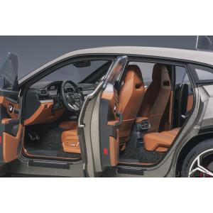 Lamborghini Urus 2018 Titan Grey Matt Grey AA79164