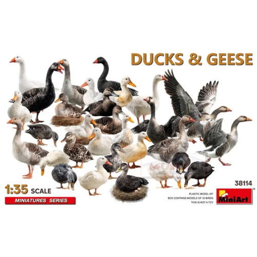 1:35 MINIART Ducks & Geese Kit MA38114